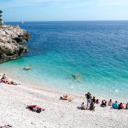 Linden Tree By Interhome * Pula